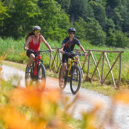 VILLA IRIS Three Bedroom Private Garden Bike&Boat&Scooter Lake Como Villa *