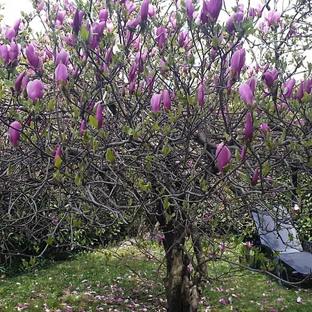 Villa Iris Winter Escape Three Bedrooms With Private Garden