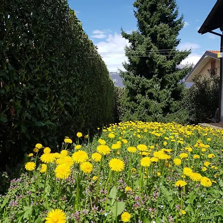 Iris Winter Escape Three Bedrooms With Private Garden