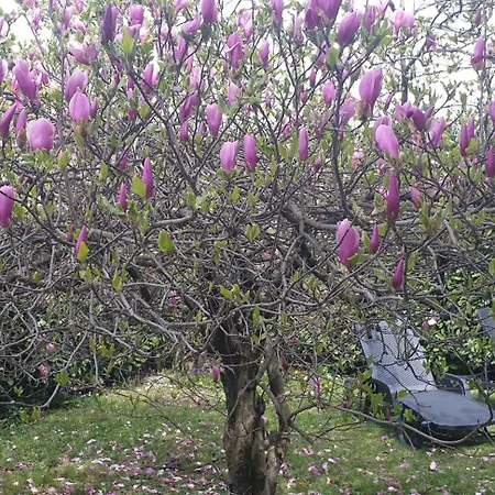Iris Three Bedroom Private Garden Bike&boat&scooter וילה *