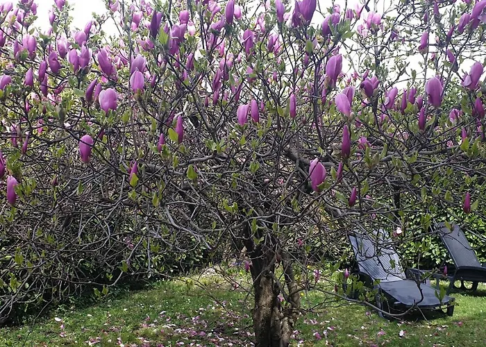 Villa Iris Three Bedroom Private Garden Bike&boat&scooter