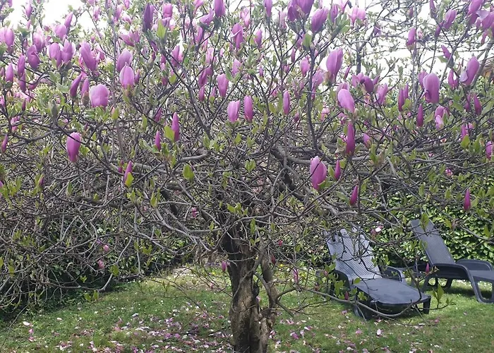 Iris Three Bedroom Private Garden Bike&boat&scooter Вилла *